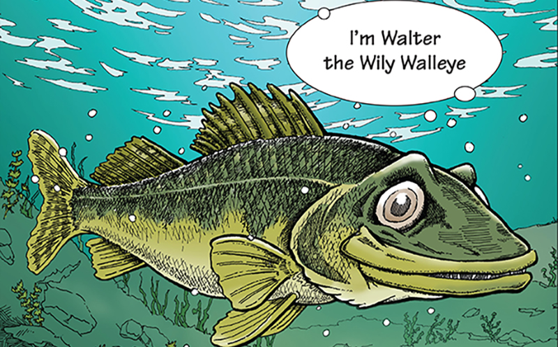 walter-illustration-homepage